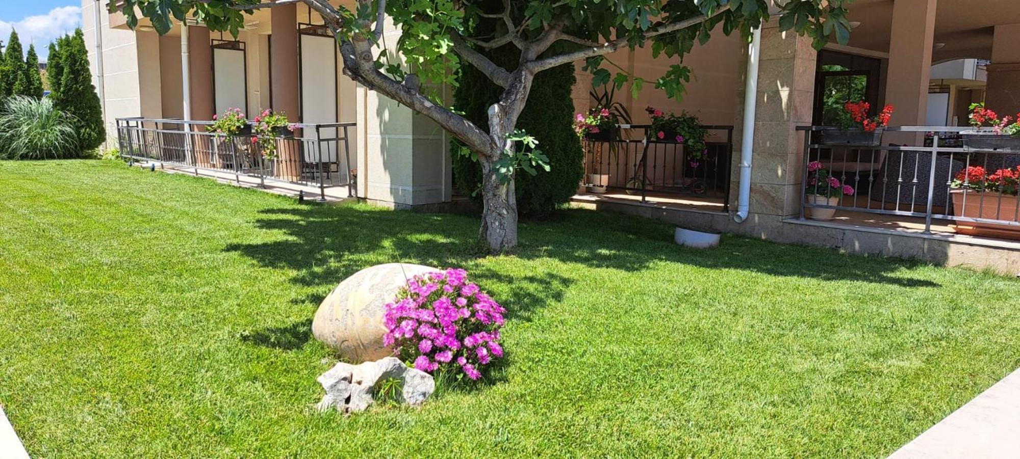 Patrick'S Apartments - Sorrento Sole Mare, สวิติ วลัส ภายนอก รูปภาพ