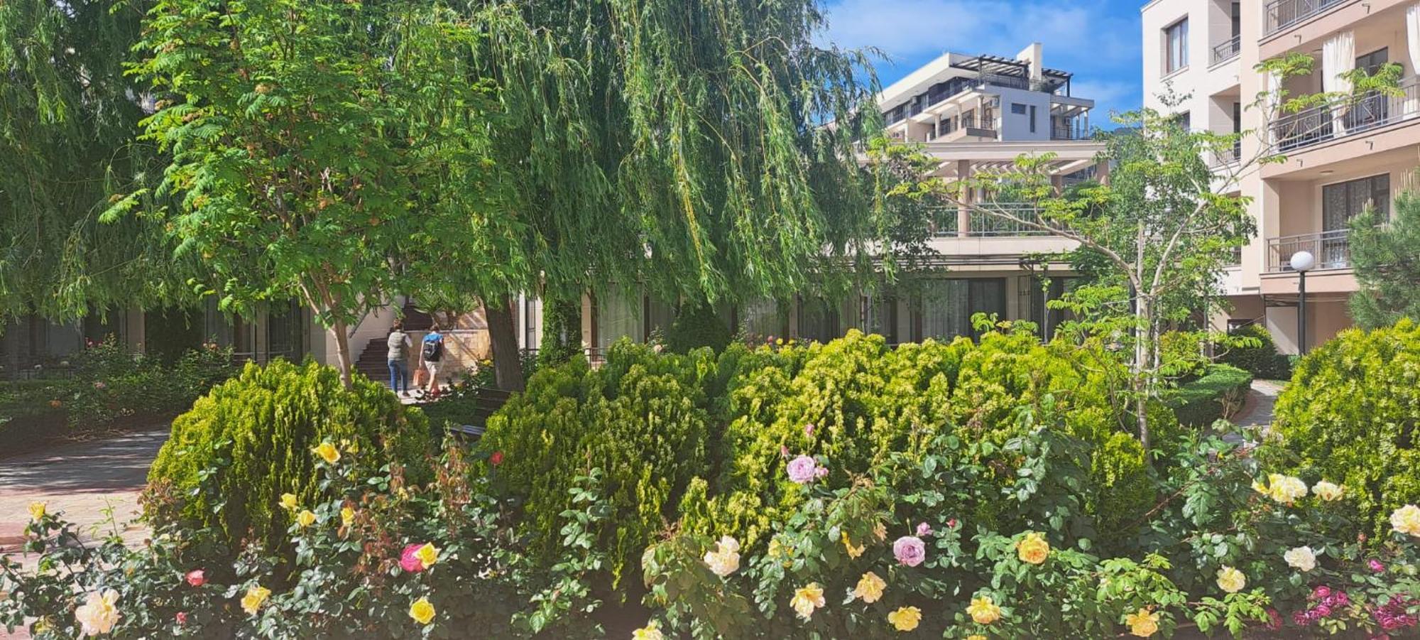 Patrick'S Apartments - Sorrento Sole Mare, สวิติ วลัส ภายนอก รูปภาพ